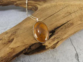 Bamboo Jasper in Sterling Silver