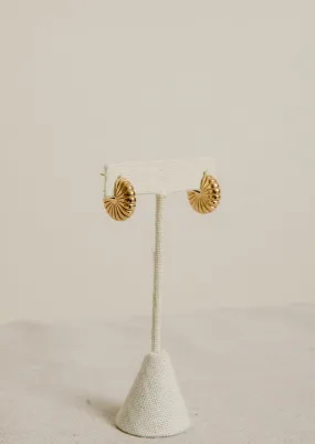 Gold Shell Earrings