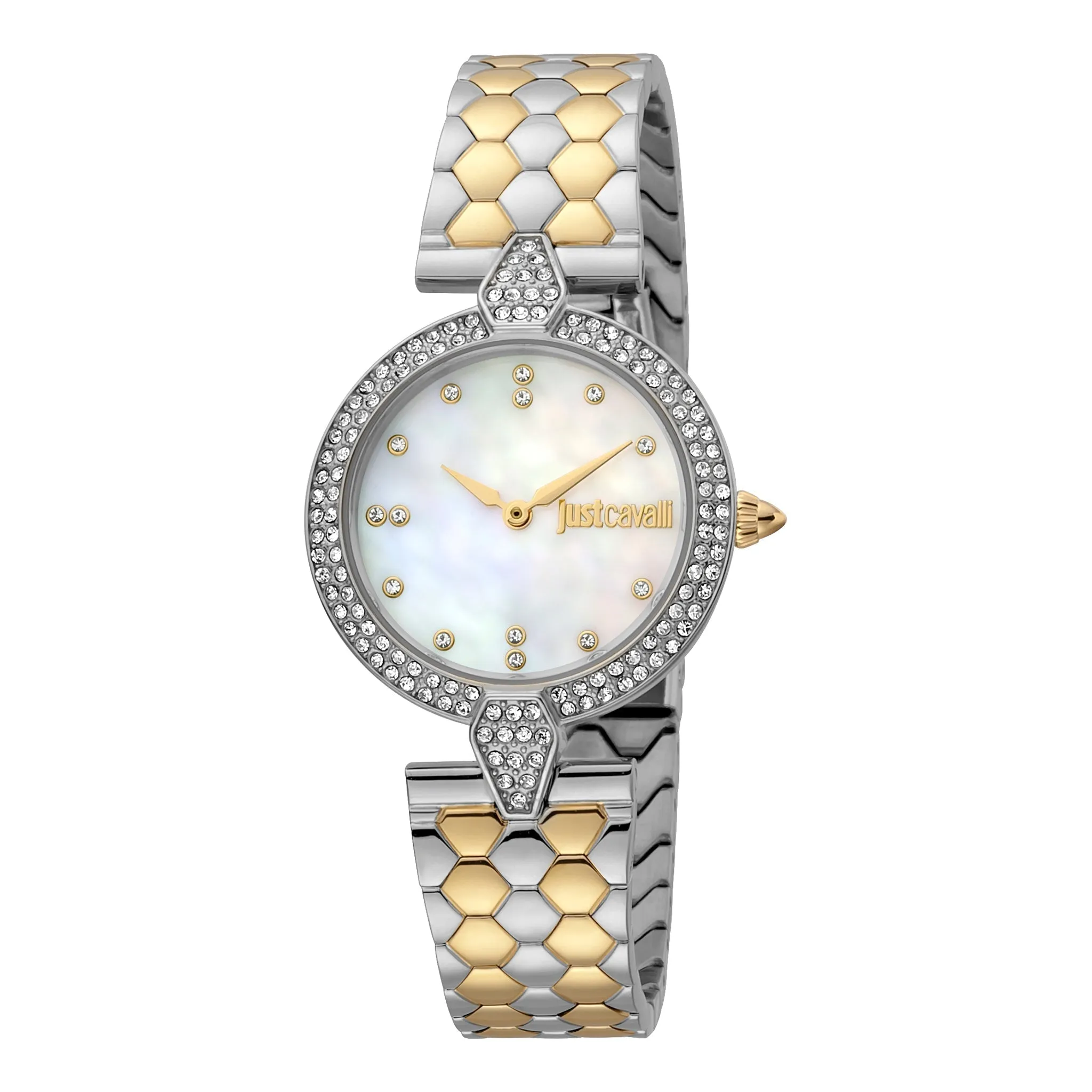 Just Cavalli Stainless Steel Women's Watch JC1L159M0085